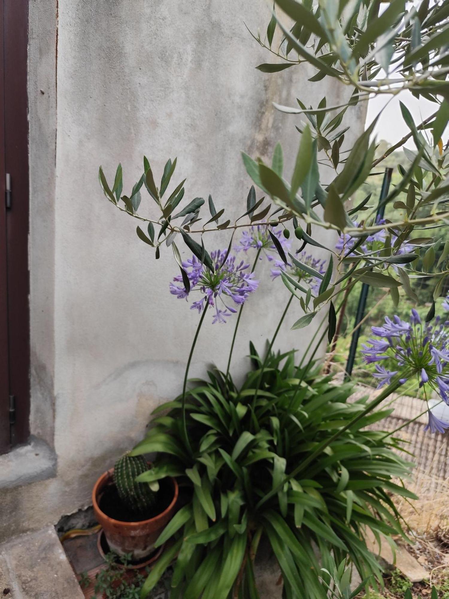 הוילה Casa In Antico Borgo Medievale A Tarano Ri, Via Giacomo Leopardi, 15 מראה חיצוני תמונה
